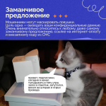 защита персональных данных от мошенников