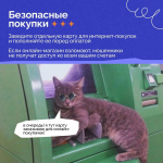 защита персональных данных от мошенников